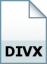 DivX-Encoded Movie File